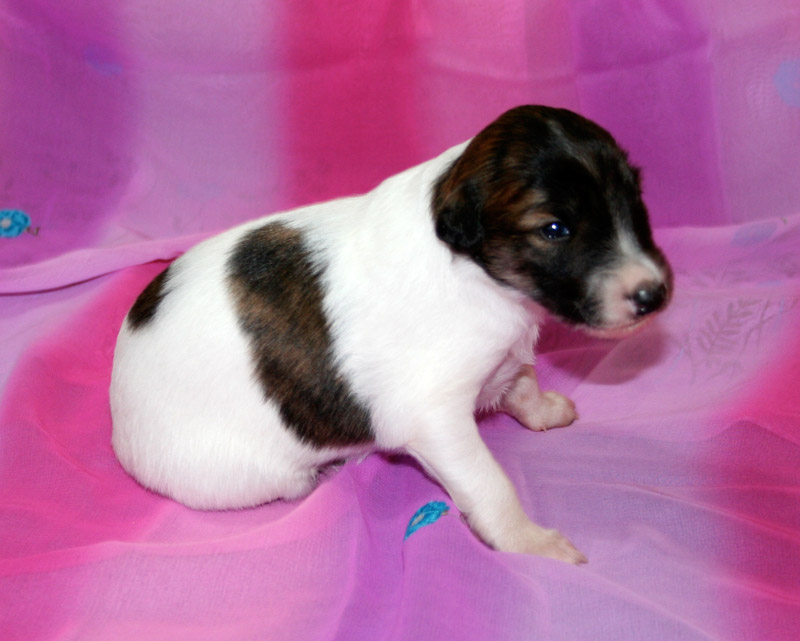 Surf Spots - Girl 1 Top